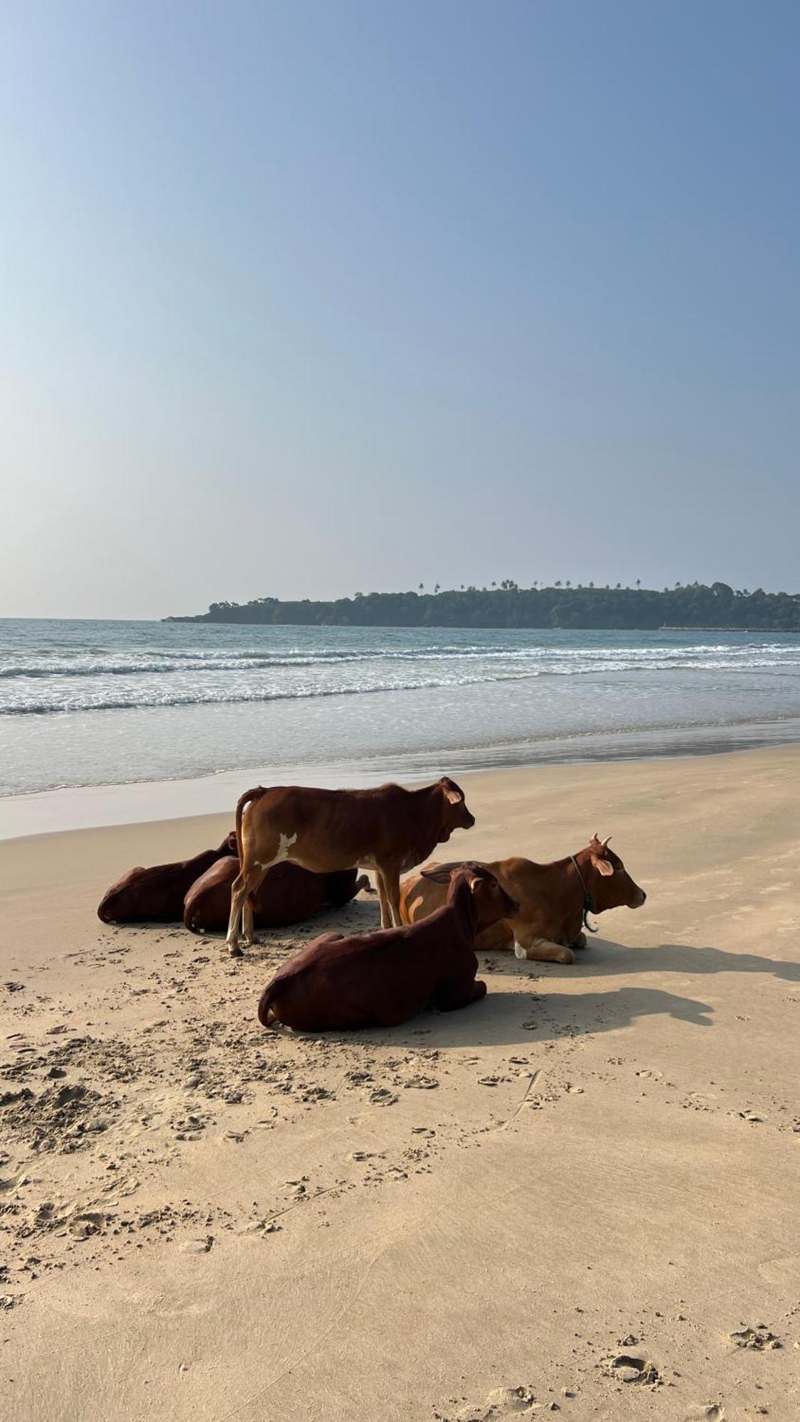 Relax Beach House Tangalle Esterno foto